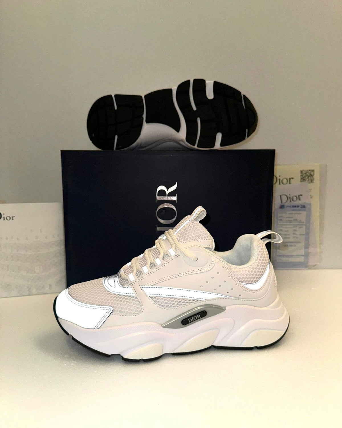 DIOR B22