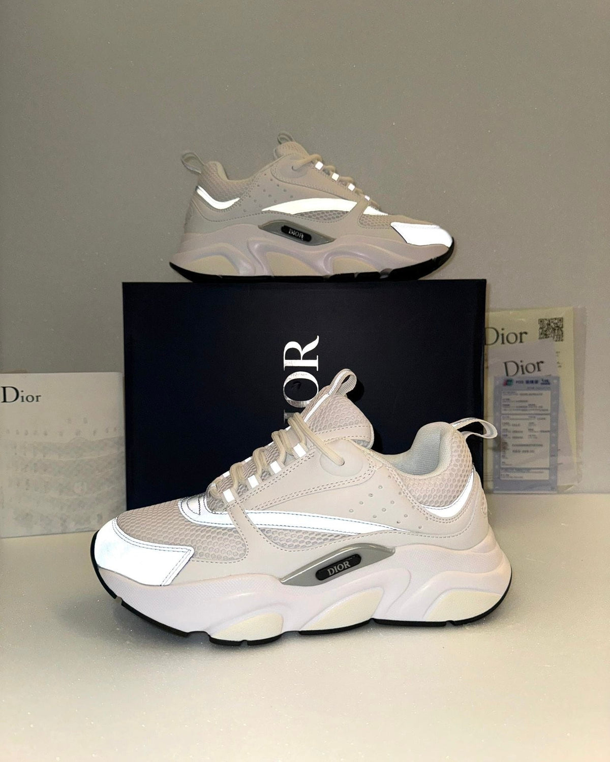 DIOR B22